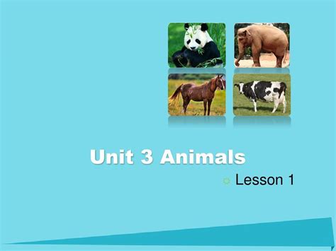 Animals Class 5 的图像结果