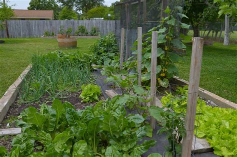 Vegetable Gardening
