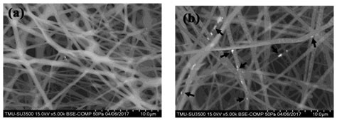 In Vivo Investigation into Effectiveness of Fe3O4/PLLA Nanofibers for ...