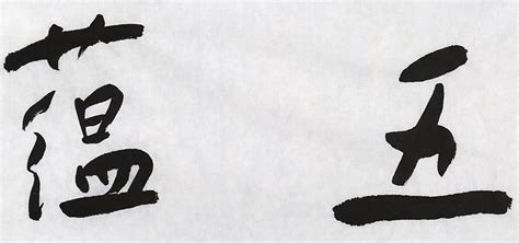 张德林 四尺对开《五蕴皆空》清华美院书法高研班导师 - 行书 - 99字画网