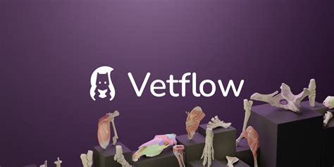 M. levator labii superioris | Artikel - Vetflow