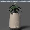 uBreathe Mini Lite Air Purifier Planter for Work From Home Setup | 2 ...