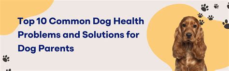 Top 10 Common Dog Health Problems and Solutions for Dog Parents – K9 ...
