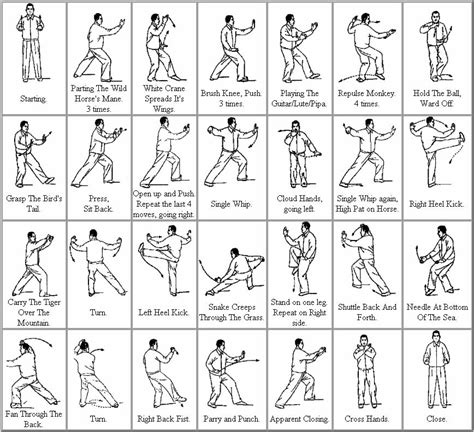 Image result for Tutorial On Tai Chi