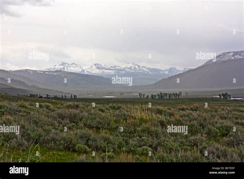Image result for Machine Learning Applications Prototype
