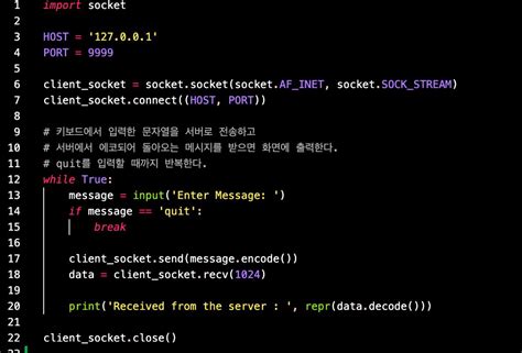 Socket Programming in Python 的图像结果