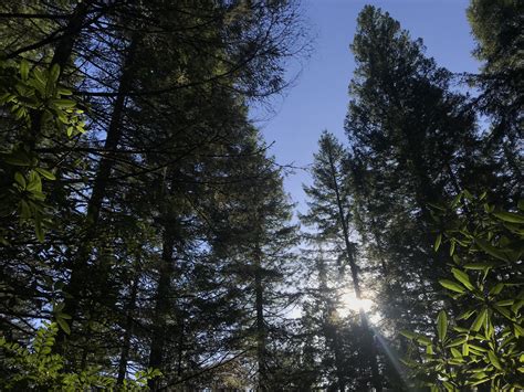 Parks — Explore Hood Canal