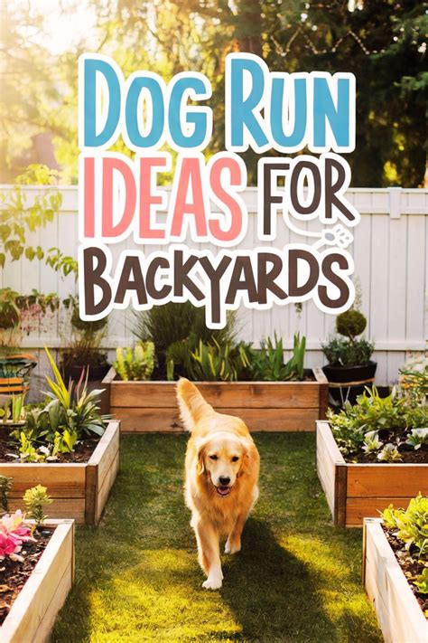 Dog Run Ideas for Backyard: Creating Your Dream Dog Backyard in 2025 ...