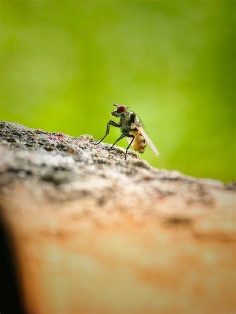 Image result for Rod Guide Size Chart