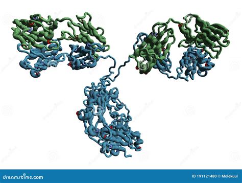 Monoclonal Antibody (Immunoglobulin G, IgG2a, MAb) Molecule, Chemical ...