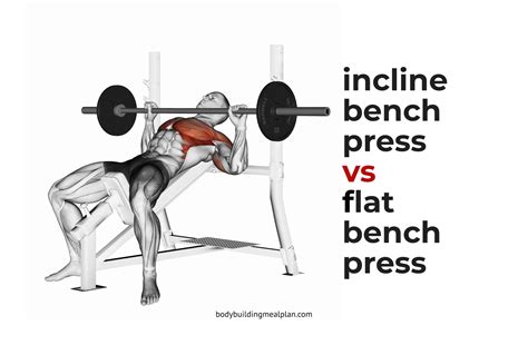 Bench Press Muscles Worked The Bench Press: Muscles, Mechanics, And