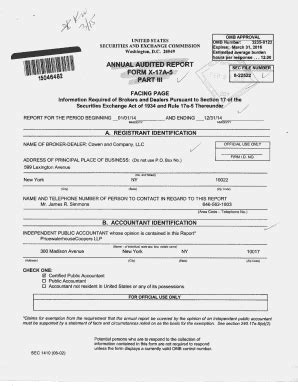 Fillable Online facing page a. registrant identification b. accountant ...