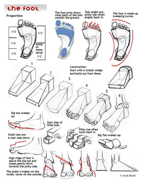 Foot Drawing 的图像结果
