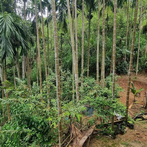 ELLA ECO ZONE RESORT - Resort Reviews & Photos - Tripadvisor