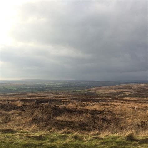 BAYE-VIEW BED & BREAKFAST (Whitby, North Yorkshire) - B&B Reviews ...
