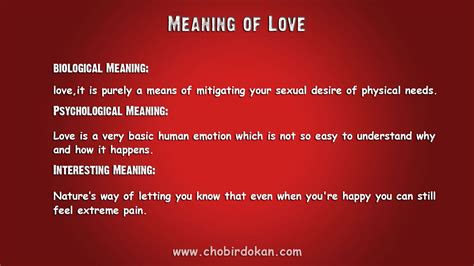 The Meaning of Love : Some Interesting and Informative Meaning ...