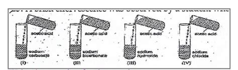 A brisk effervescence was observed by a student when he added acetic ...