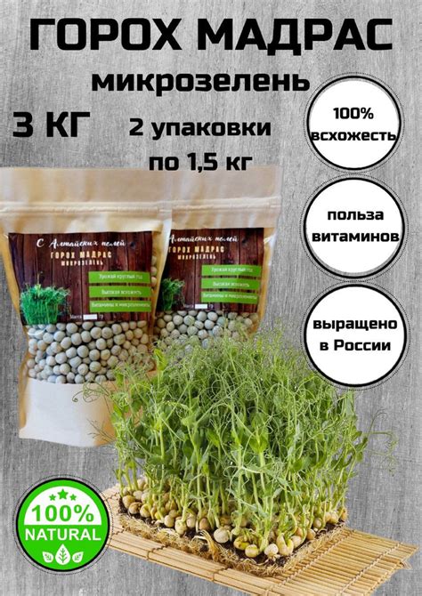 Семена гороха Мадрас для микрозелени 3 кг - купить с доставкой по ...