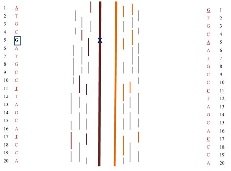 JCM | Special Issue : Prenatal Genetic Screening and Diagnosis-Part 1