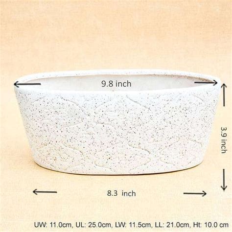 Buy Planters online from Nurserylive at lowest price.