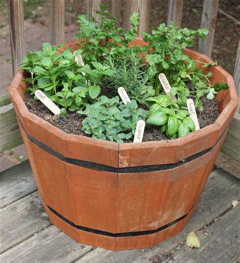 Growing Herbs in Small Spaces: 31+ Creative Herb Container Garden Ideas