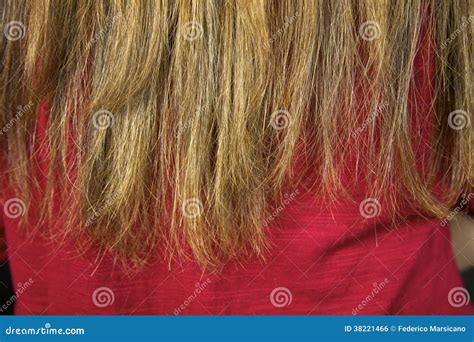 Closeup of Ruined Split Ends Hair Ready To Be Cut Stock Photo - Image ...