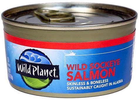 The 8 Best Canned Salmon in 2022: Taste Tested