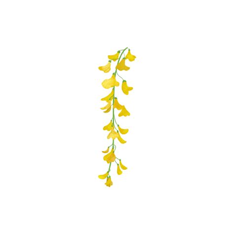 Yellow Flower Strings And Branches Hanging Down Hand Painted Flowers And Plants, Spring, Summer ...