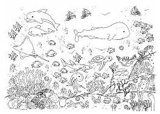 ausmalbilder fische und korallen fische im meer mit korallen ausmalbilder fische ausmalbilder fische und korallen fische im meer mit korallen ausmalbilder fische
