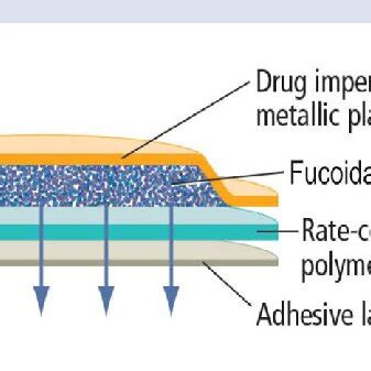 Transdermal Patch 的图像结果