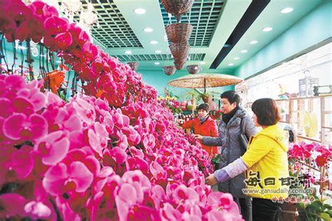 春节期间兰州市各大花卉市场进入黄金热销期_央广网