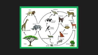 Earth Life 的图像结果