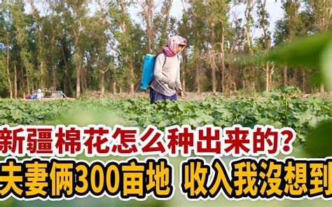 “95后”夫妻摆摊日收入9000多元被质疑，当事人回应-桂林生活网新闻中心