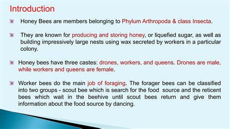 bee communication dance.pdf how the communicate with each other | PDF - phylum of honey bee