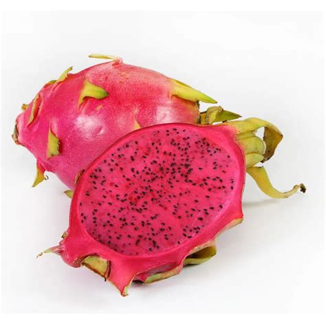 Buy Dragon Fruit Plant online from Nursery Kart