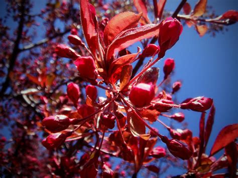 Exploding Spring 的图像结果