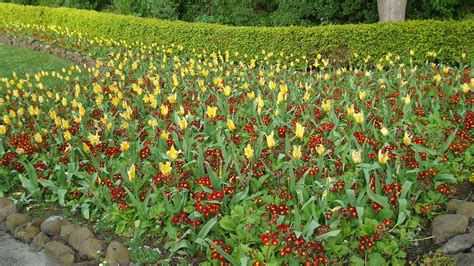 Queen Wilhelmina Garden - San Francisco, United States