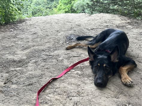 HUMANE SOCIETY OF SHEBOYGAN COUNTY - Sheboygan WI - Hours, Directions ...