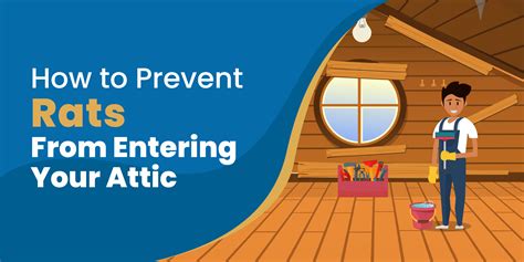 How to Get Rid of Rats in Attic For Good [Without Killing]