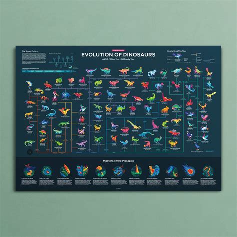 Dinosaur Evolution 的图像结果