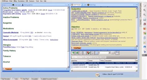 Image result for SOAPware Tutorial