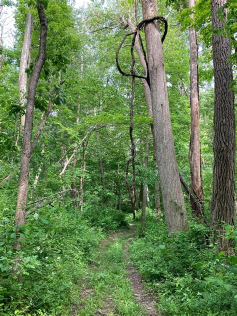 Blue Rock State Park: Discover Trails, Wildlife & Scenic Views