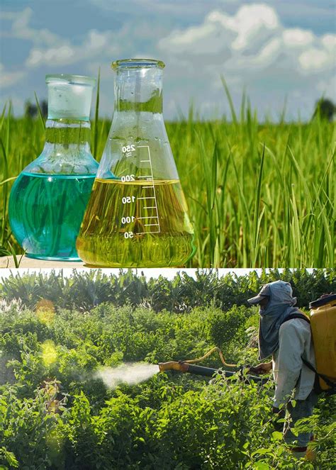 Request for Prospectus