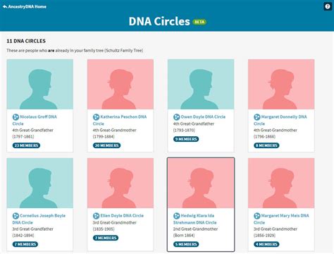 Image result for Color Code AncestryDNA
