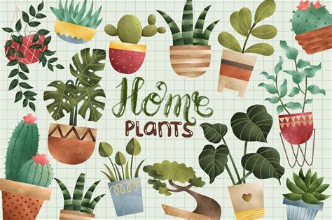 Cactus Plant Clipart