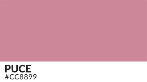 What Makes the Puce Color So Elegant and Captivating | HipFonts