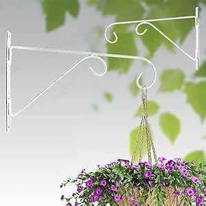 Sharpex Wall Mounted Metal Bracket | Decorative Wall Hook Plant Hanger ...