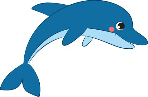 Dolphin Clip Art
