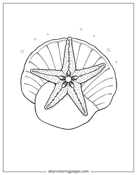 Starfish Coloring Pages - 13 Free Printable Coloring Pages