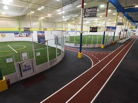 Crowned Sportsfield 的图像结果